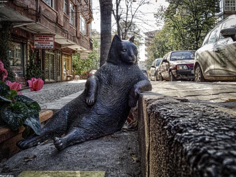 Randall Arias